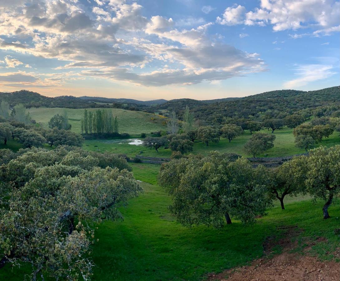 La Siesta Del Naranjo Villa Monesterio Kültér fotó