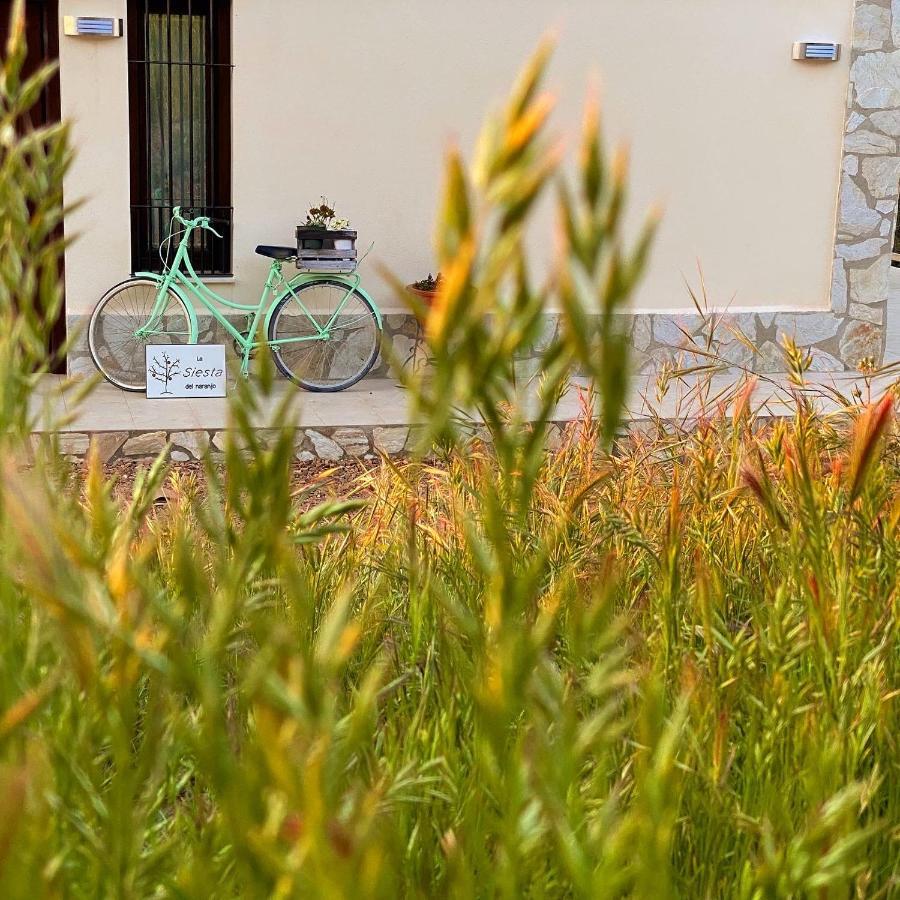 La Siesta Del Naranjo Villa Monesterio Kültér fotó