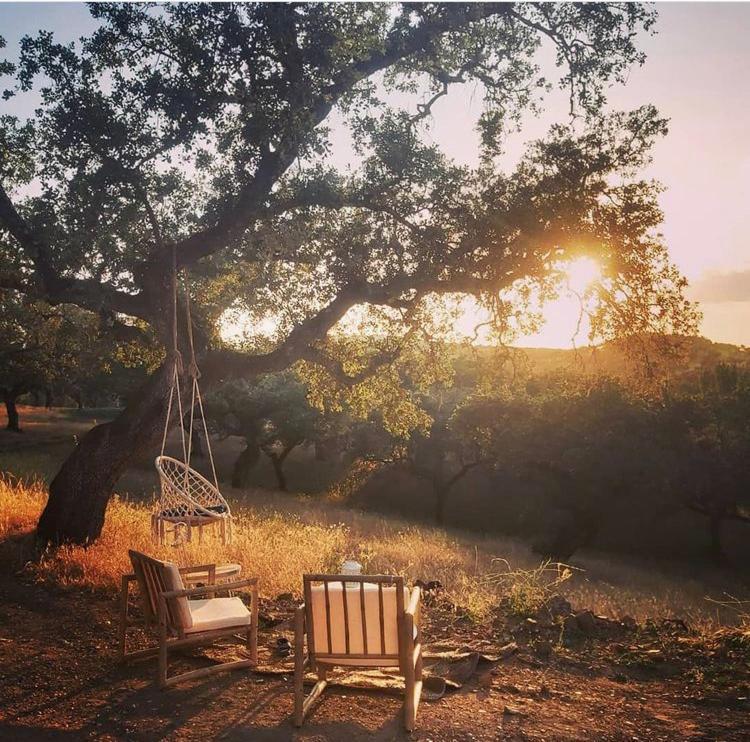 La Siesta Del Naranjo Villa Monesterio Kültér fotó